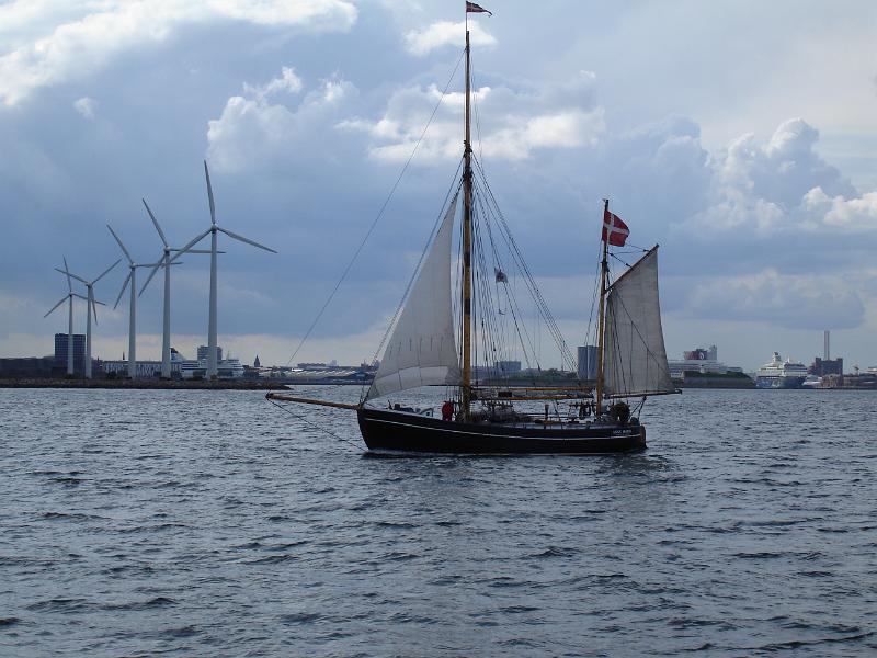 21 05 DSC04089.JPG